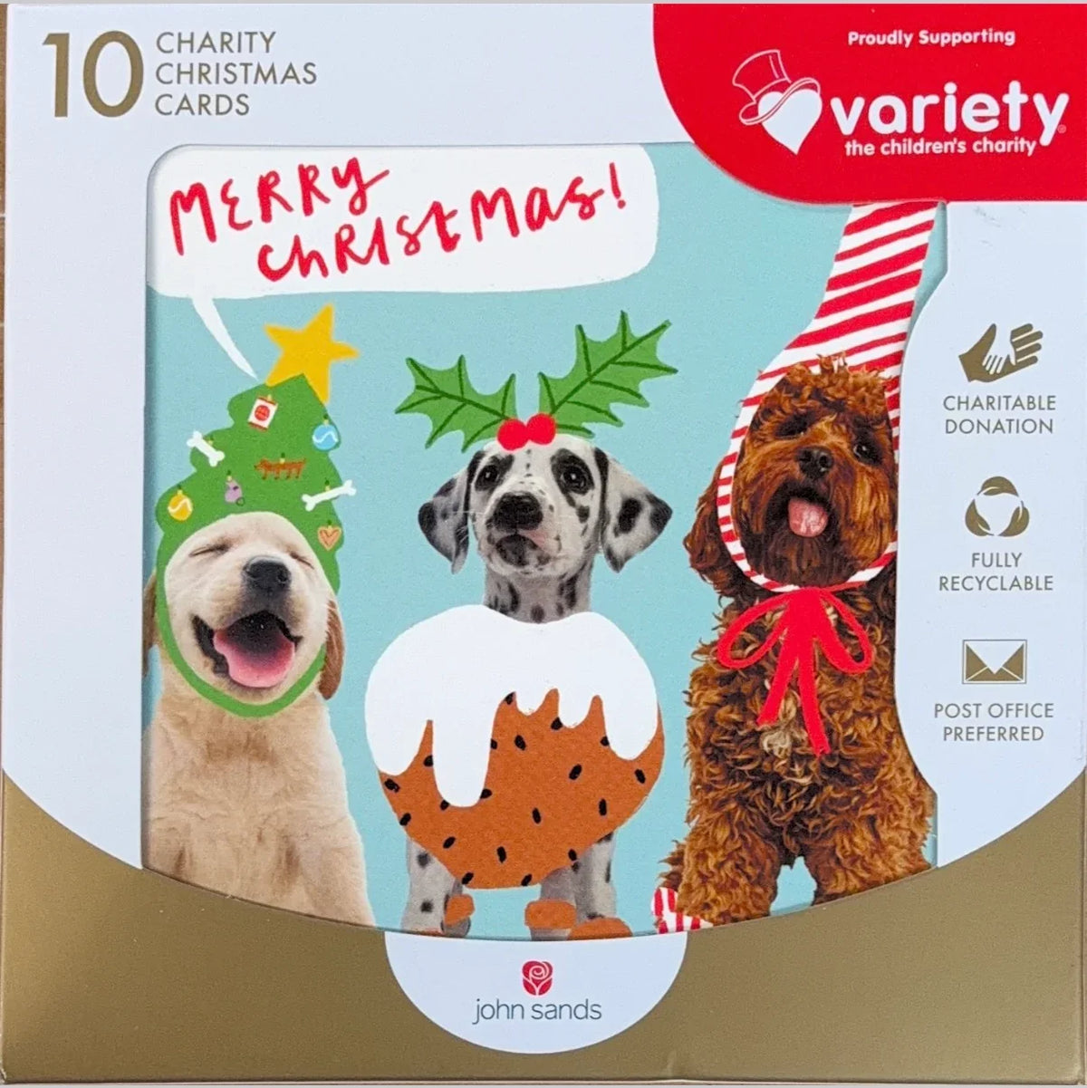 Charity Christmas Boxed Cards Christmas Festive Dogs Variety