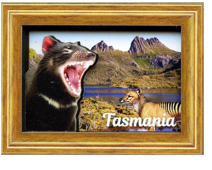 TASMANIAN SOUVENIRS – footycoinandgifts.com.au