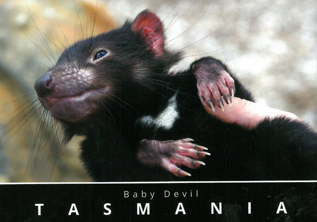 TASMANIAN SOUVENIRS – footycoinandgifts.com.au