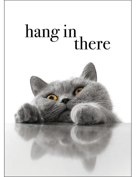 M050 - Hang In There - Animal Greeting Card