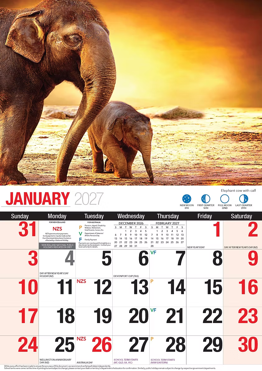 CALENDAR 2027 BIG PRINT - BABY ANIMALS