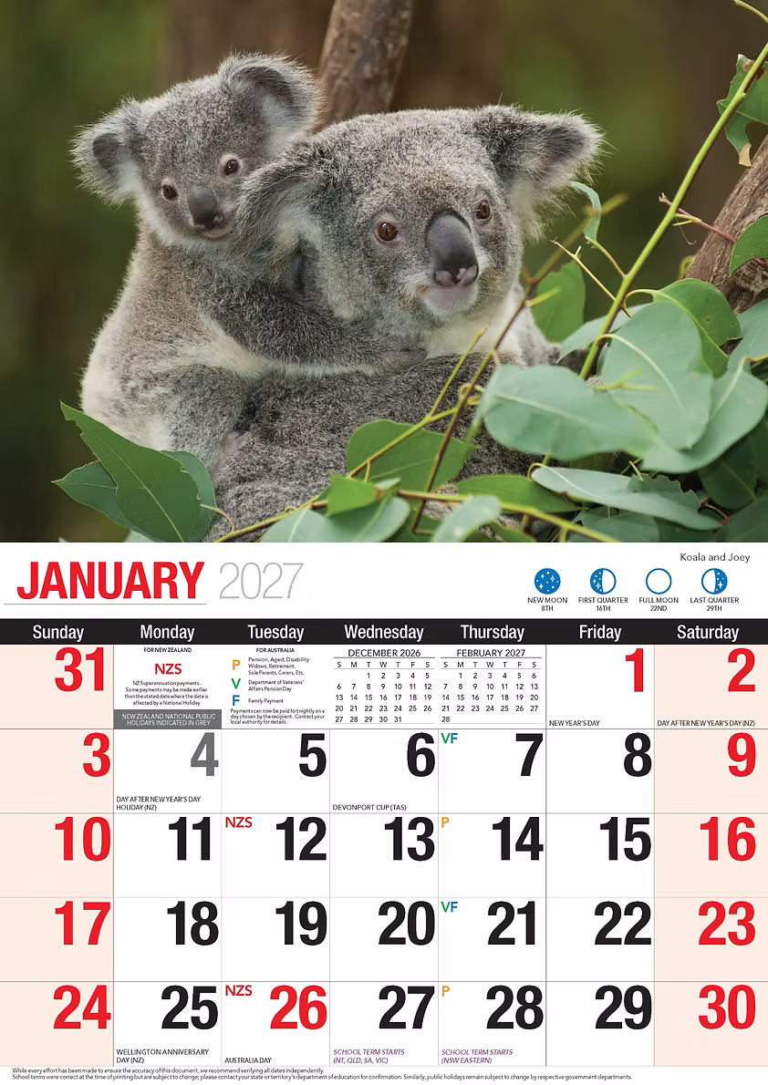 CALENDAR 2027 BIG PRINT - AUSTRALIAN WILDLIFE