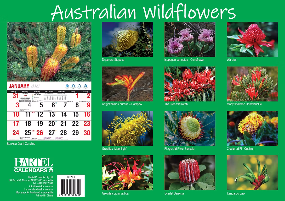 CALENDAR 2027 BIG PRINT - AUSTRALIAN WILDFLOWERS