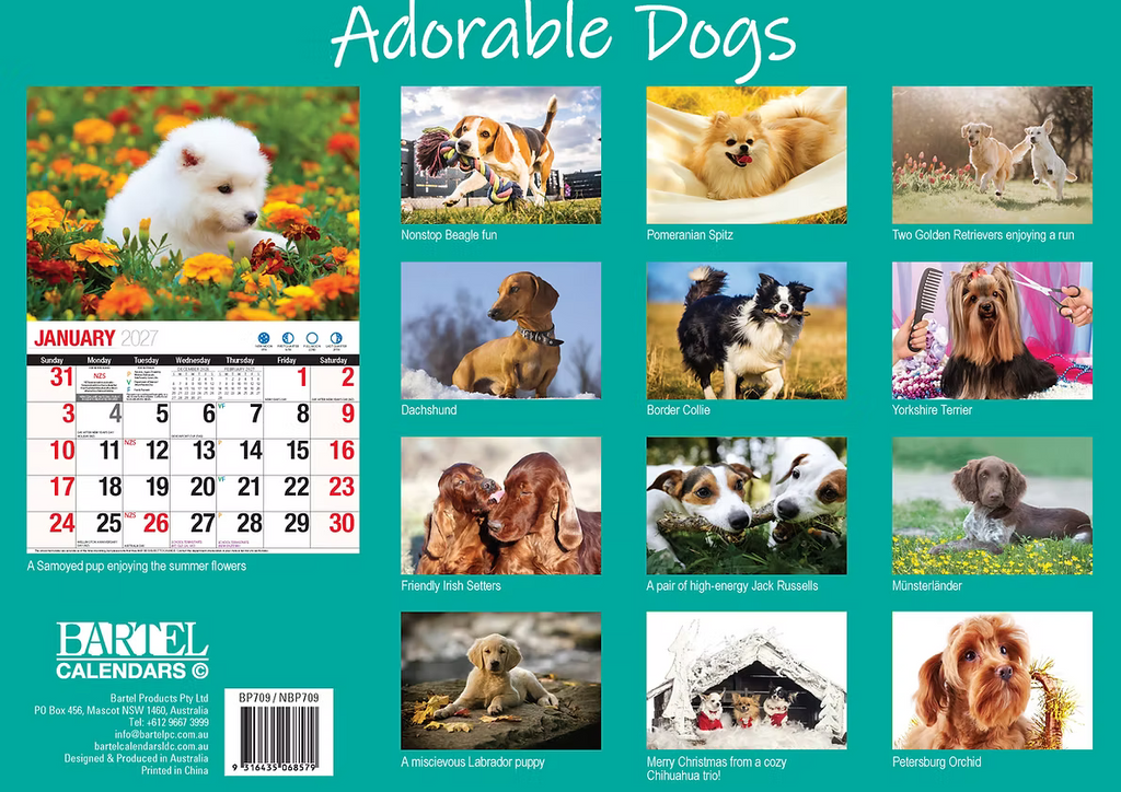 CALENDAR 2027 BIG PRINT - ADORABLE DOGS