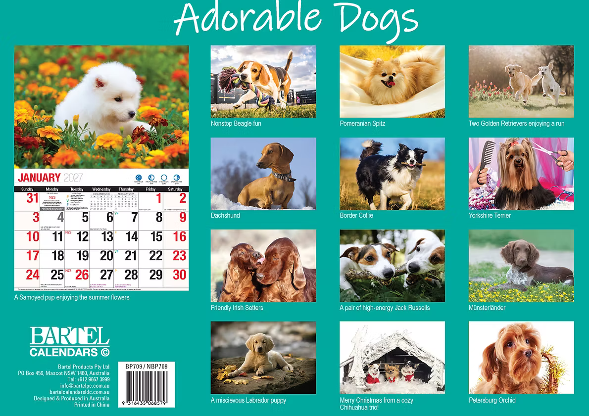 CALENDAR 2027 BIG PRINT - ADORABLE DOGS