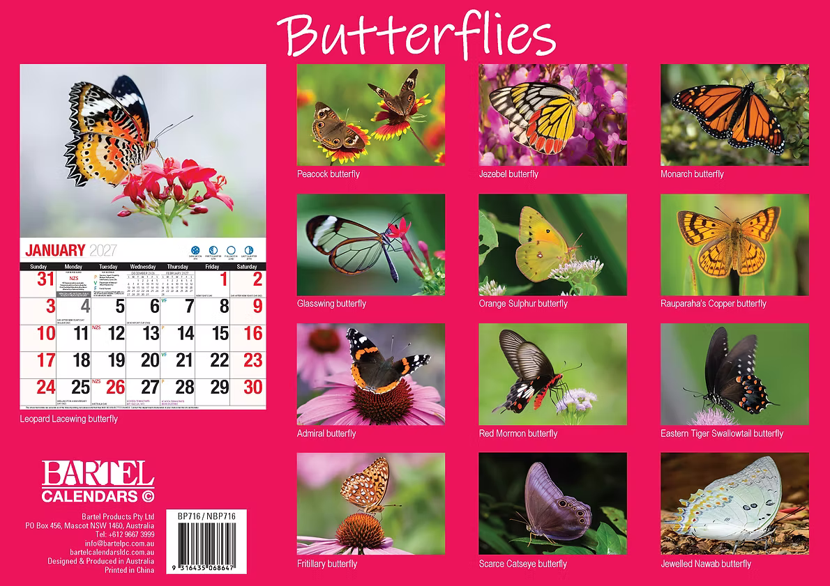 CALENDAR 2027 BIG PRINT - BUTTERFLIES