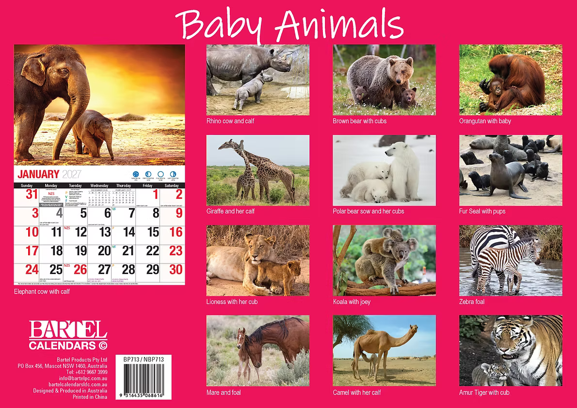 CALENDAR 2027 BIG PRINT - BABY ANIMALS