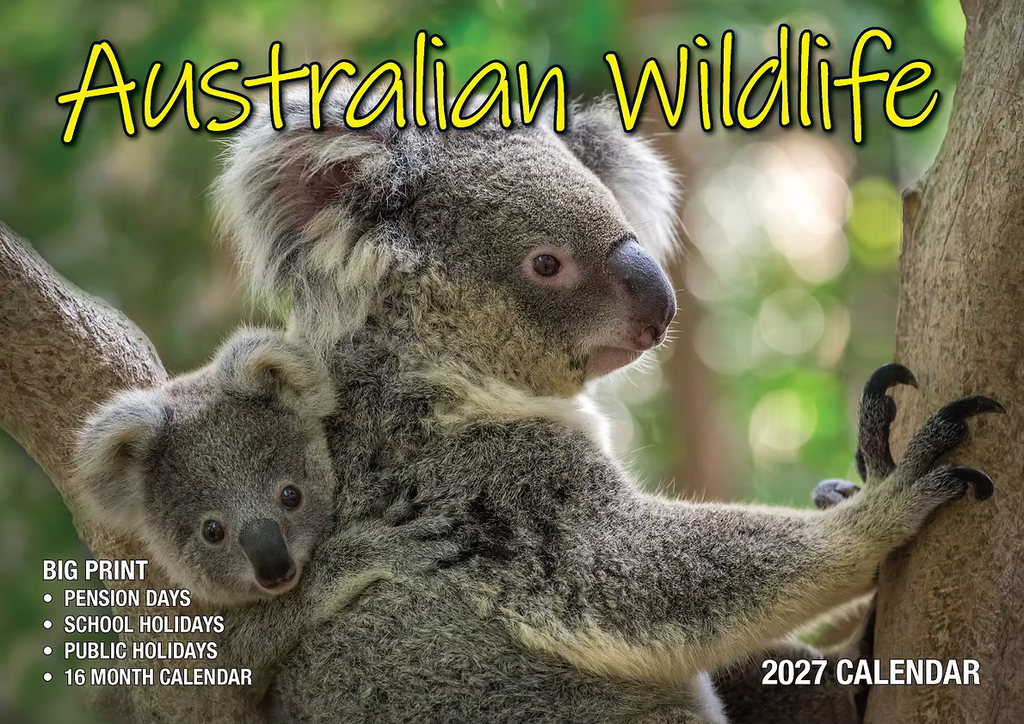 CALENDAR 2027 BIG PRINT - AUSTRALIAN WILDLIFE