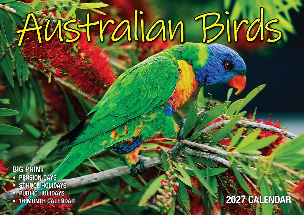 CALENDAR 2027 BIG PRINT - AUSTRALIAN BIRDS