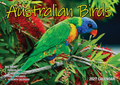 CALENDAR 2027 BIG PRINT - AUSTRALIAN BIRDS