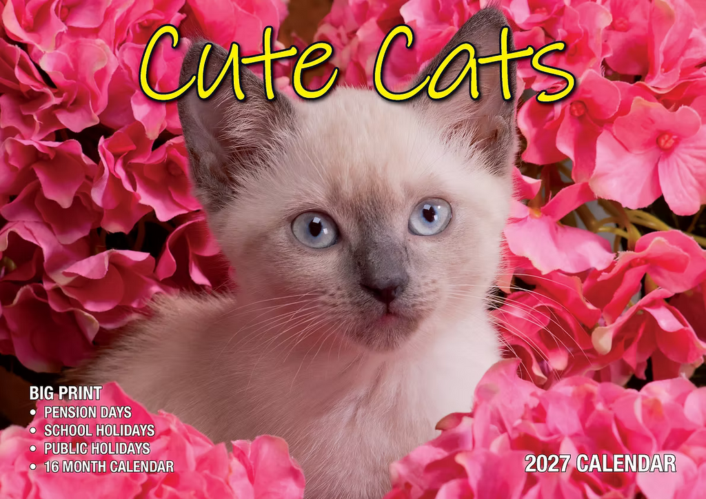 CALENDAR 2027 BIG PRINT - CUTE CATS