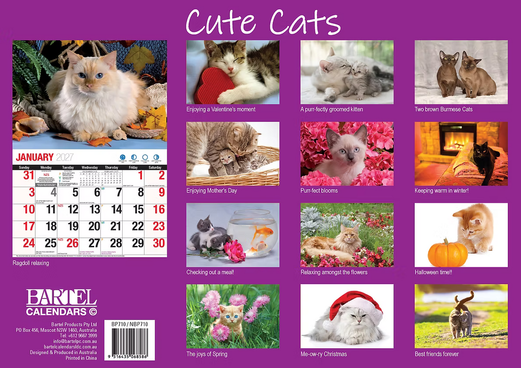 CALENDAR 2027 BIG PRINT - CUTE CATS