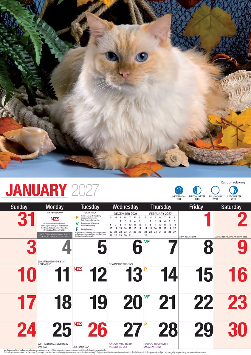CALENDAR 2027 BIG PRINT - CUTE CATS