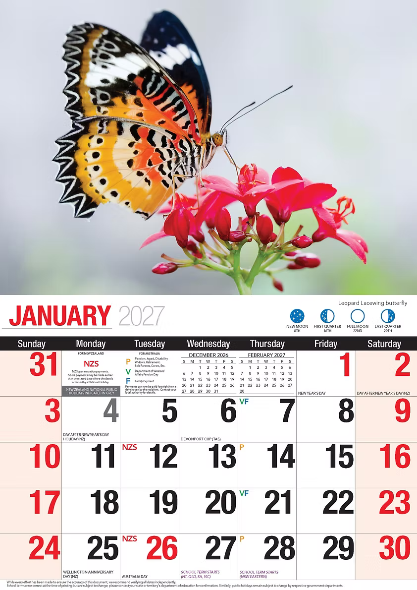 CALENDAR 2027 BIG PRINT - BUTTERFLIES