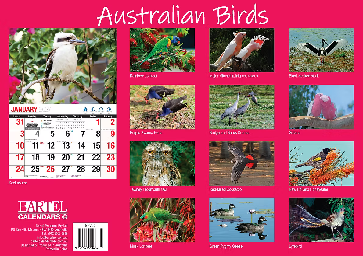 CALENDAR 2027 BIG PRINT - AUSTRALIAN BIRDS