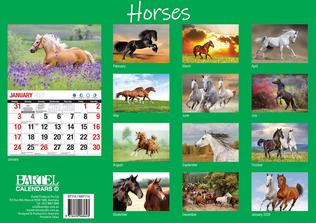 CALENDAR 2027 BIG PRINT - HORSES