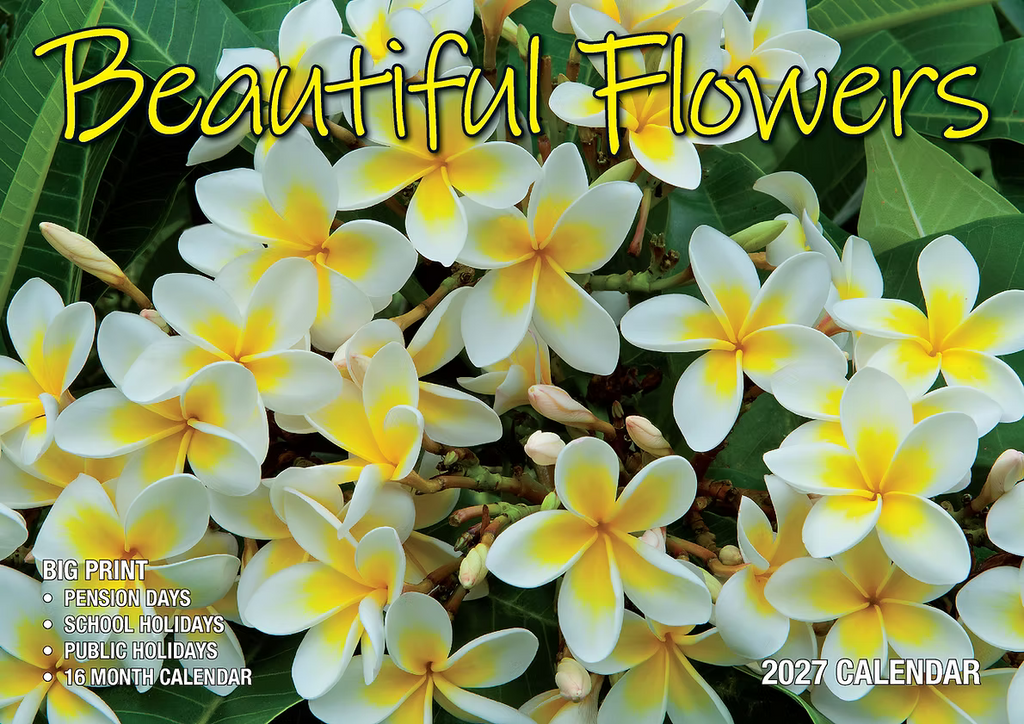 CALENDAR 2027 BIG PRINT - BEAUTIFUL FLOWERS