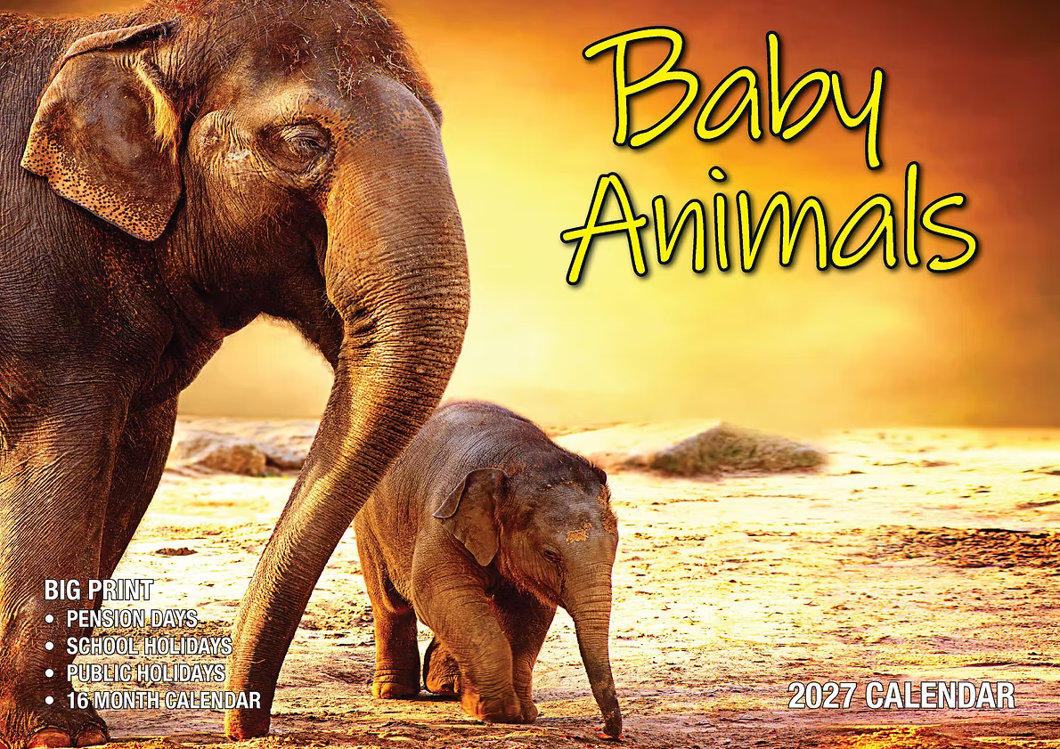 CALENDAR 2027 BIG PRINT - BABY ANIMALS