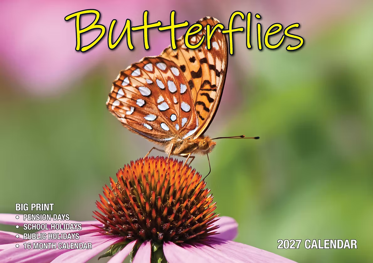 CALENDAR 2027 BIG PRINT - BUTTERFLIES