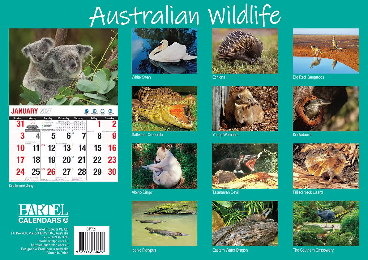 CALENDAR 2027 BIG PRINT - AUSTRALIAN WILDLIFE