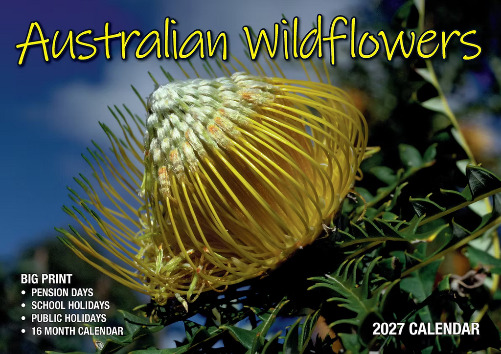 CALENDAR 2027 BIG PRINT - AUSTRALIAN WILDFLOWERS