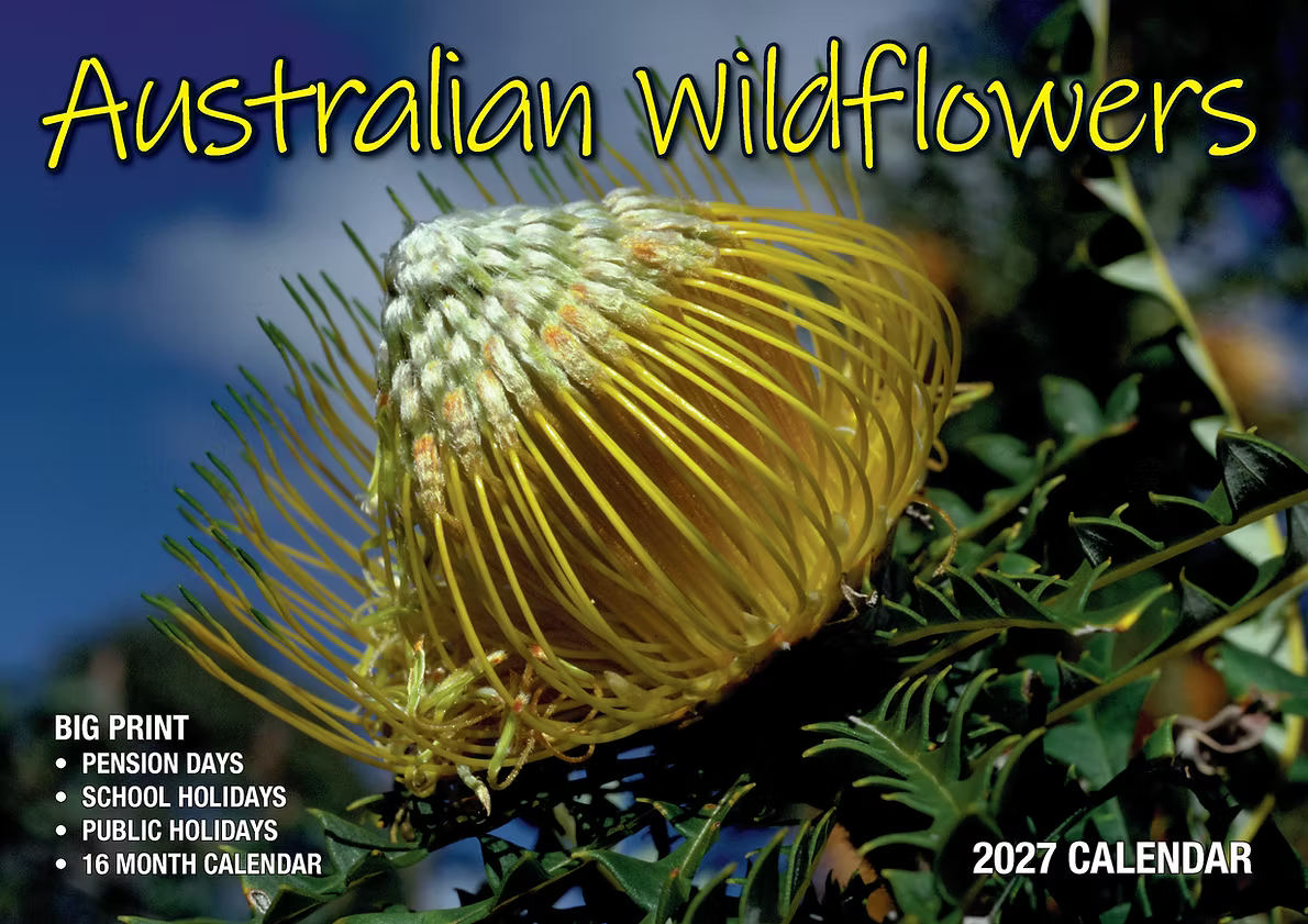 CALENDAR 2027 BIG PRINT - AUSTRALIAN WILDFLOWERS