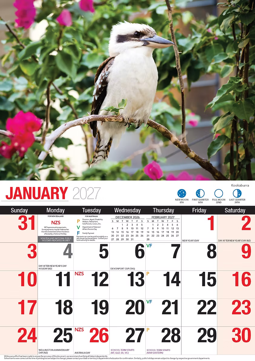 CALENDAR 2027 BIG PRINT - AUSTRALIAN BIRDS
