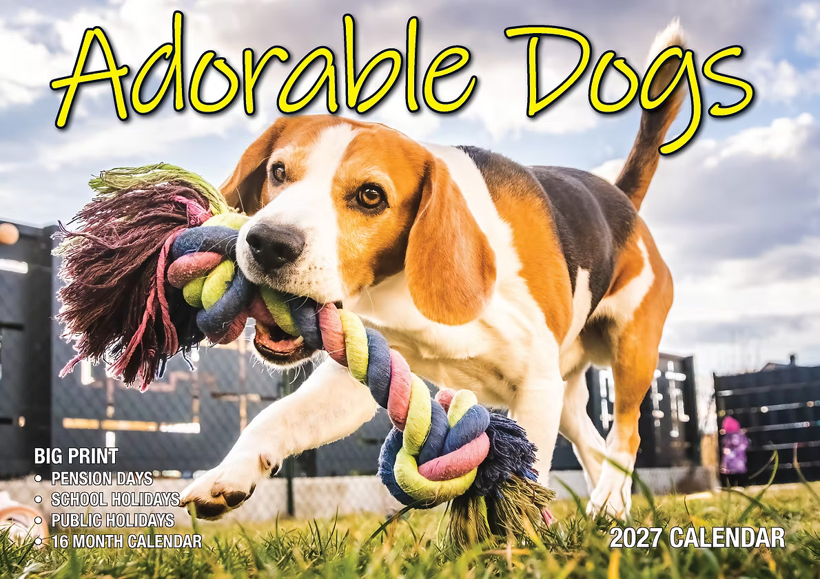 CALENDAR 2027 BIG PRINT - ADORABLE DOGS