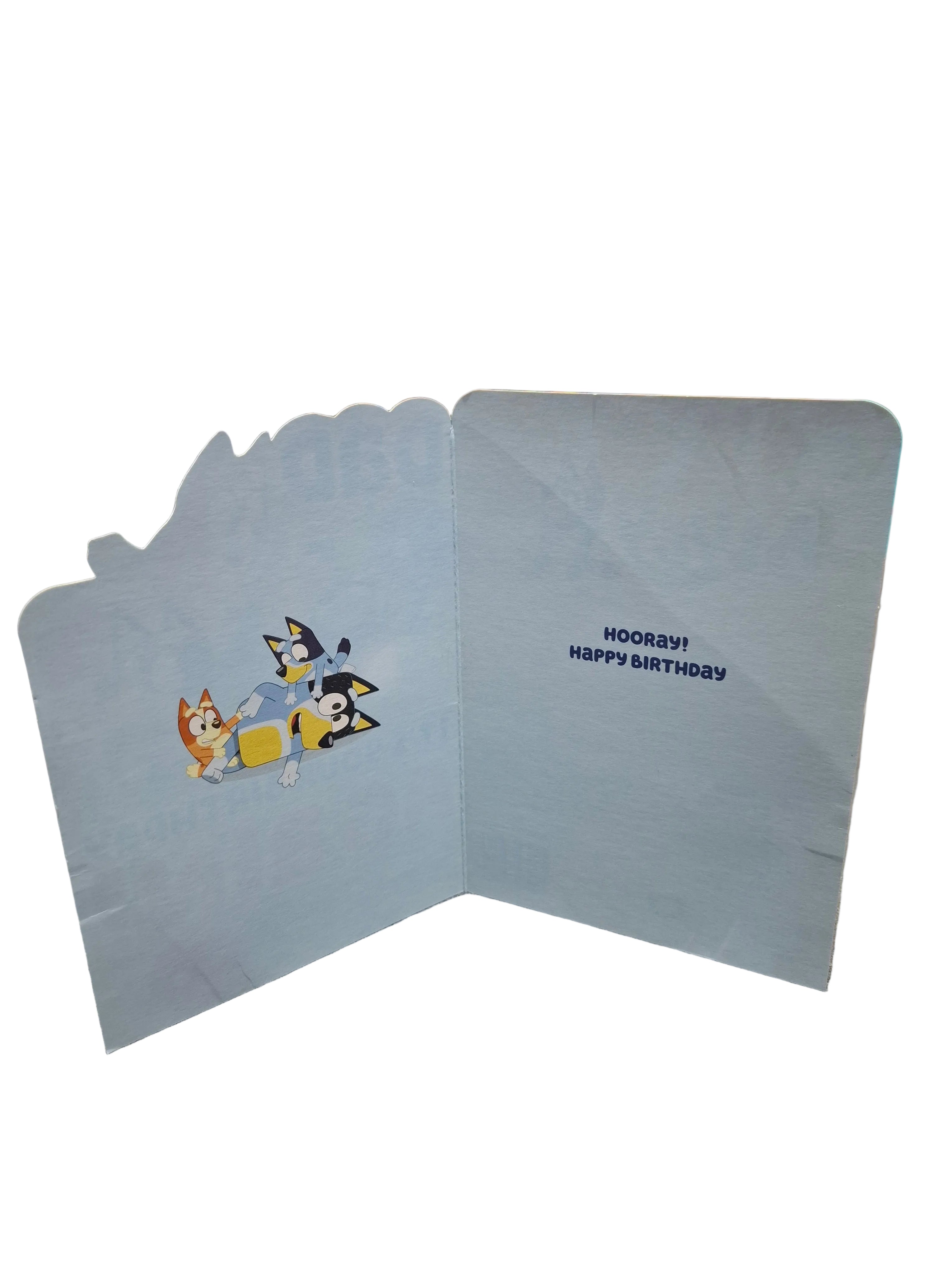 BLUEY BIRTHDAY CARD DAD GREETING CARD