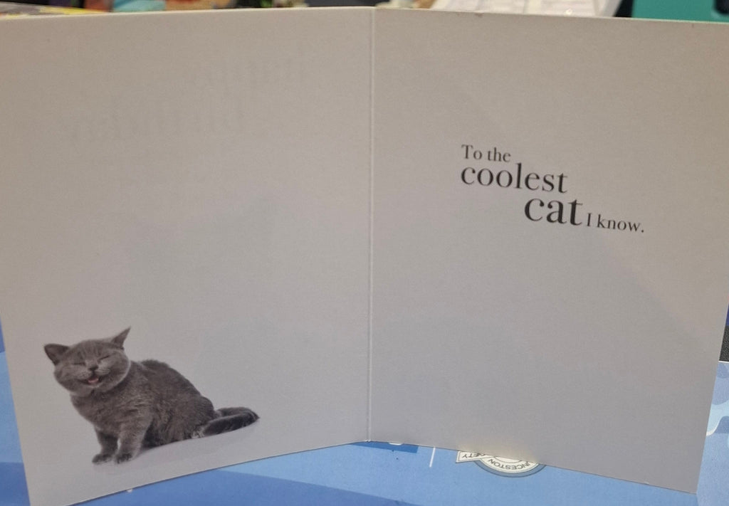 M003 - Happy Birthday - Animal Greeting Card
