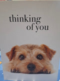 M048 - Thinking Of You - Animal Greeting Card