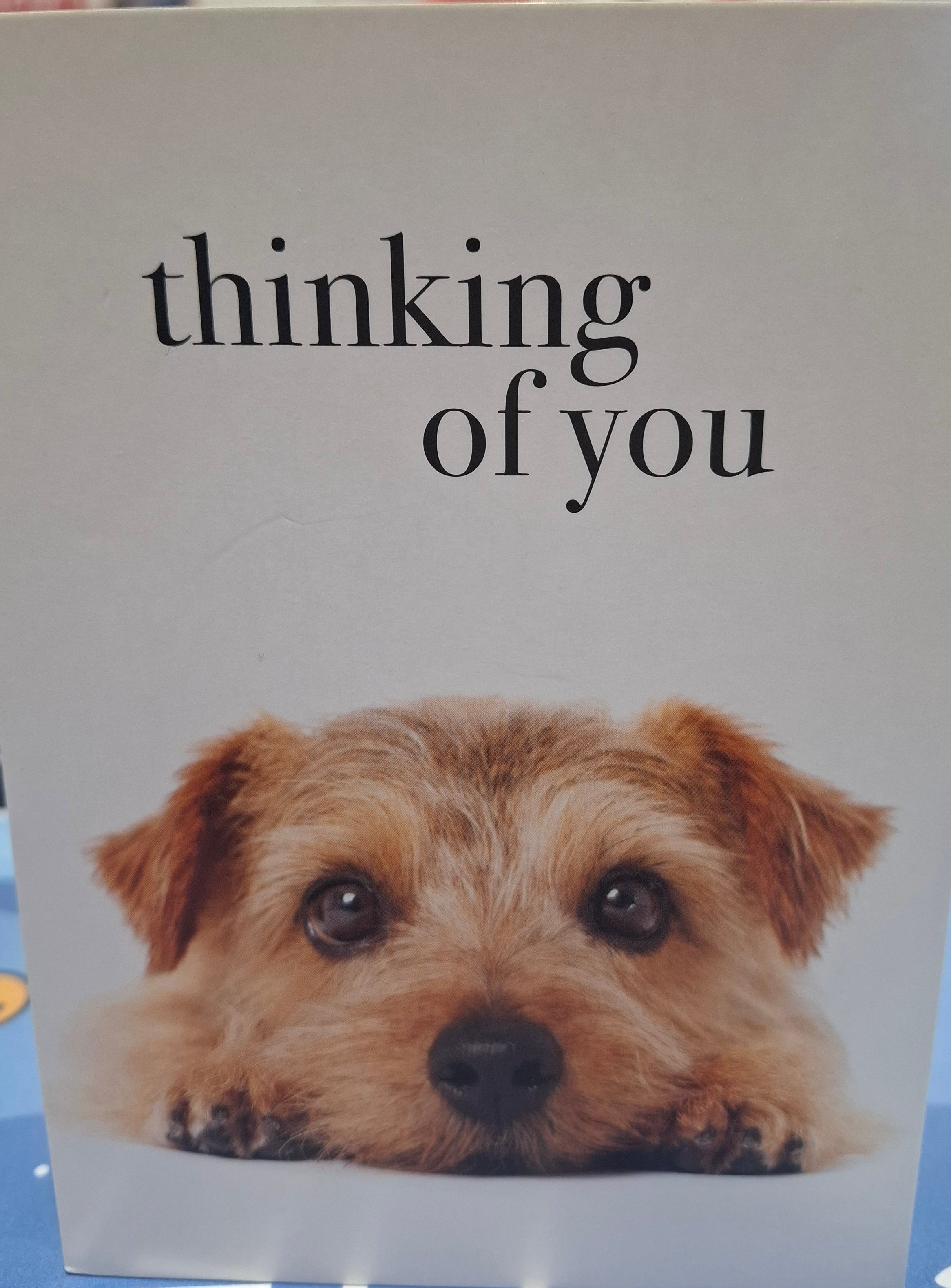 M048 - Thinking Of You - Animal Greeting Card