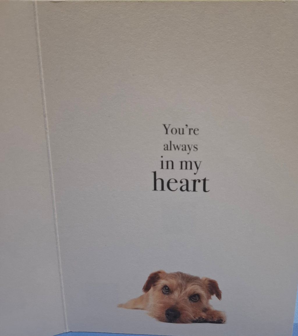 M048 - Thinking Of You - Animal Greeting Card
