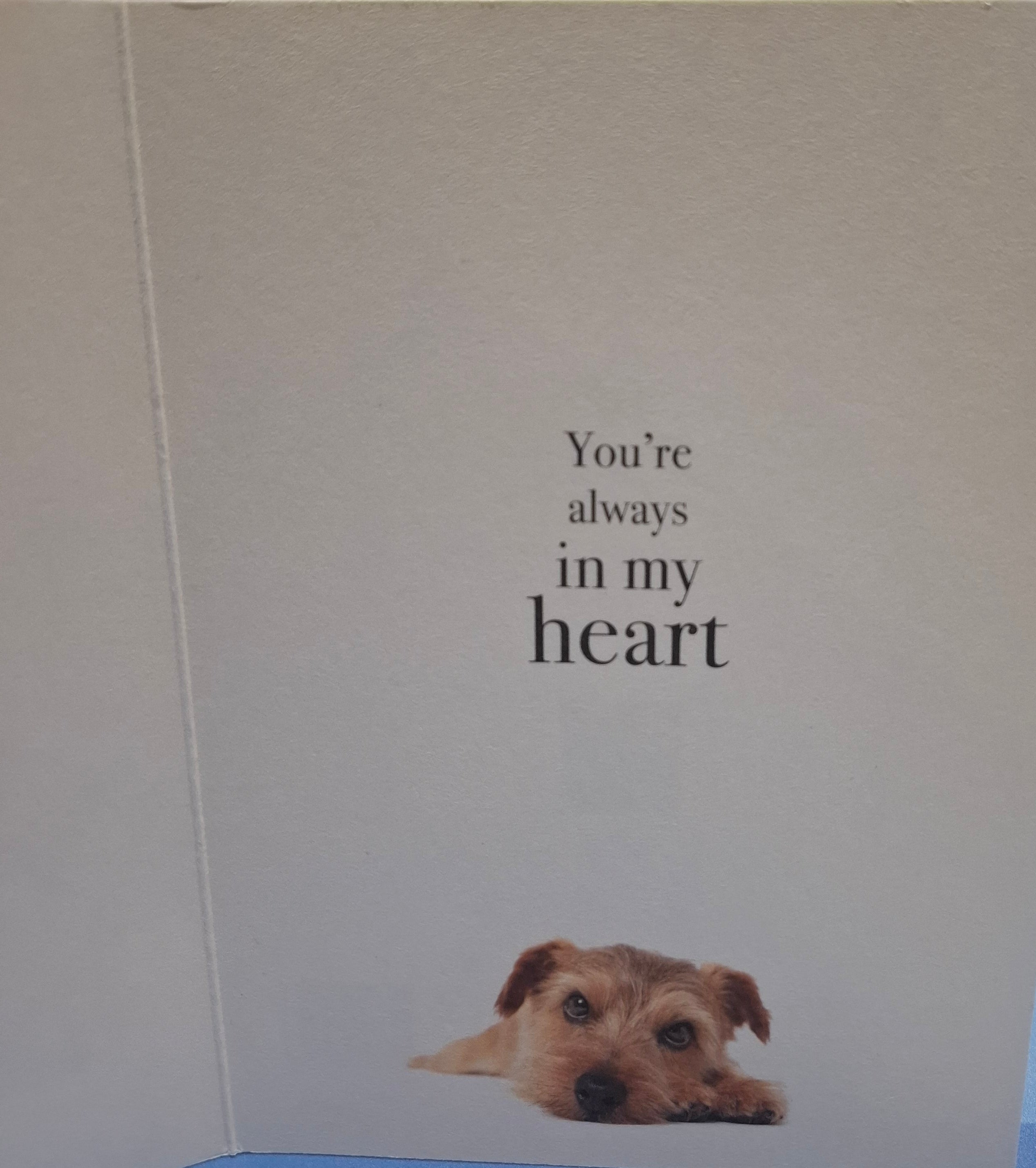 M048 - Thinking Of You - Animal Greeting Card