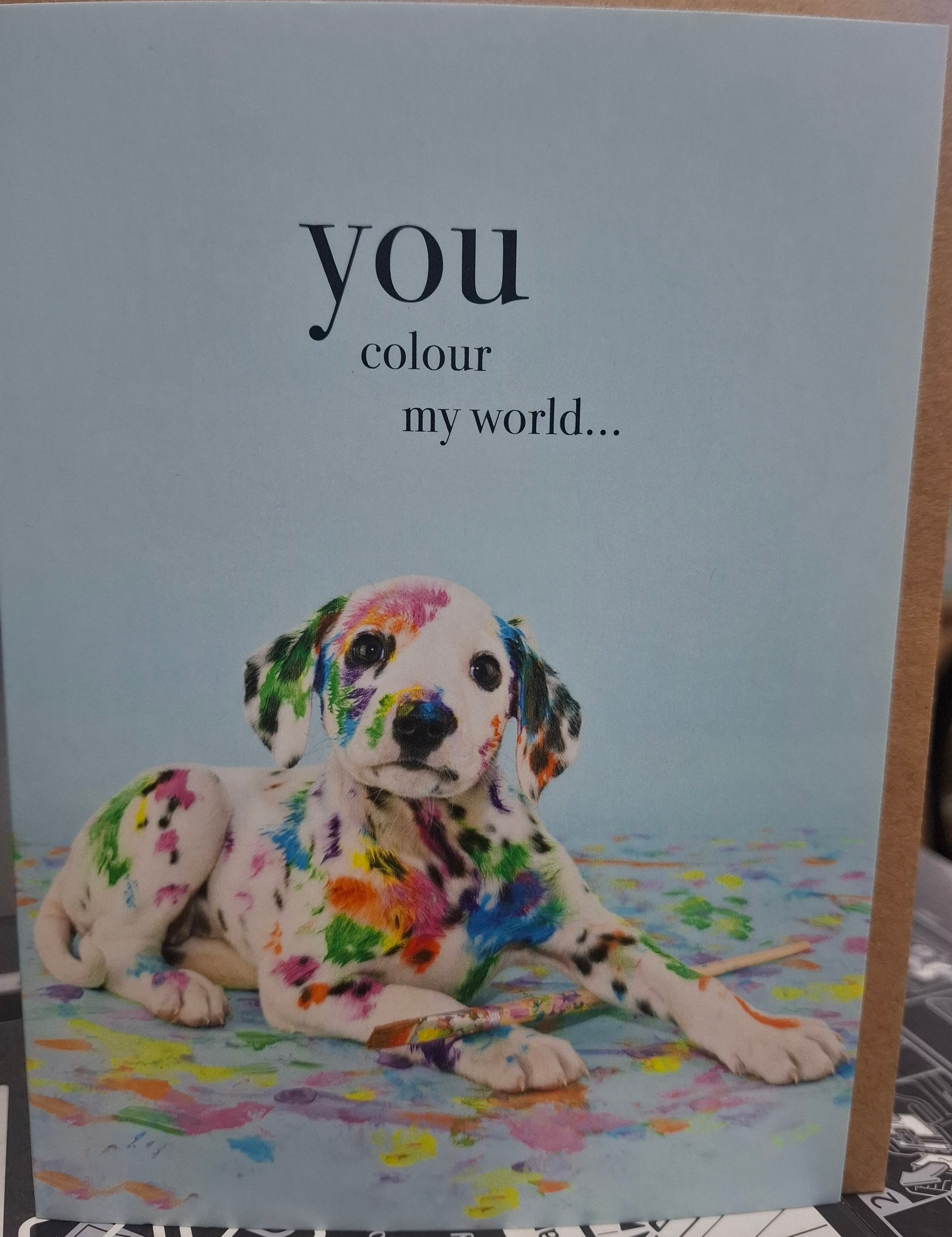M029 - You Colour My World - Animal Greeting Card