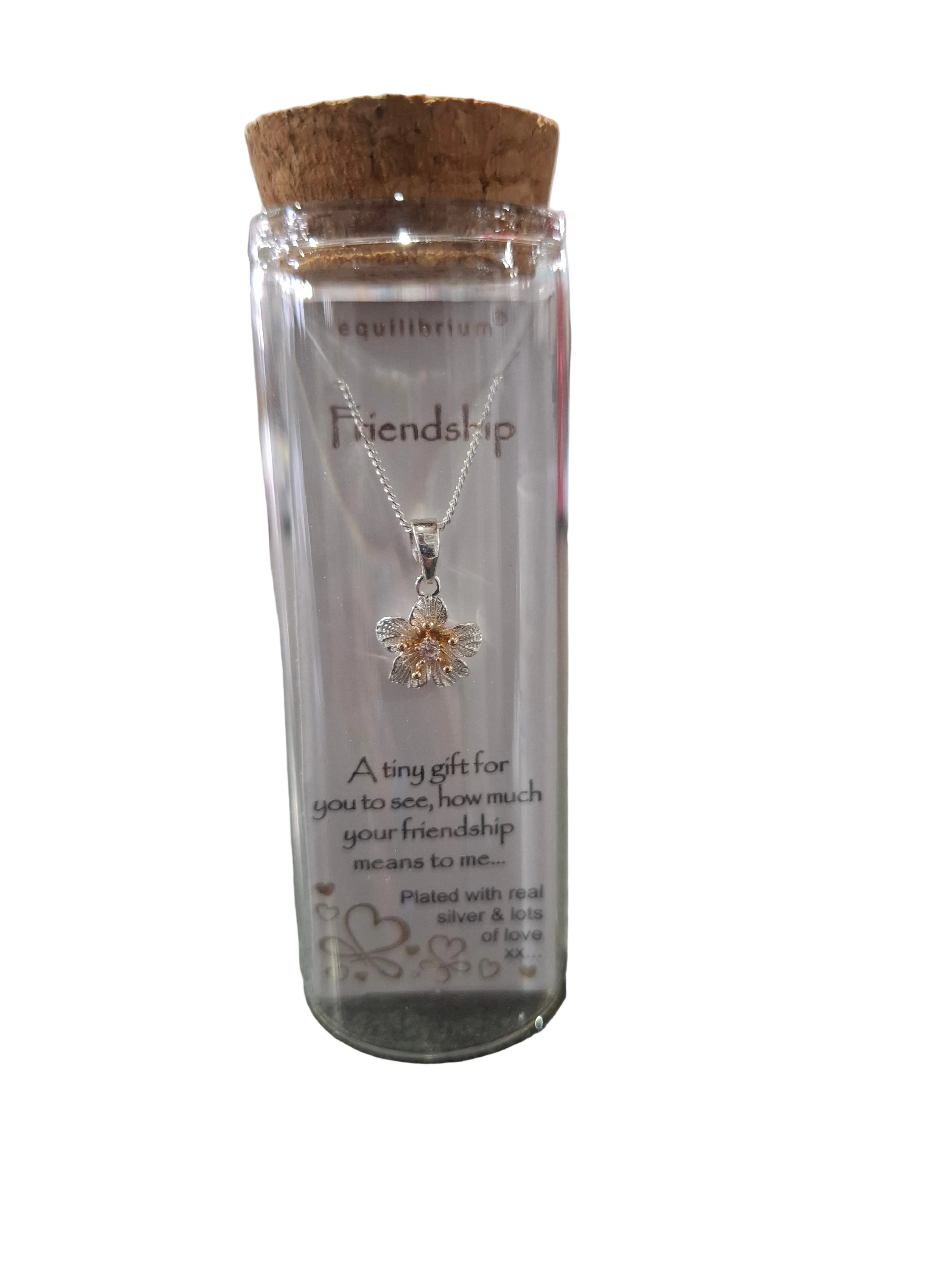 EQUILIBRIUM MESSAGE IN A BOTTLE NECKLACES - FRIENDSHIP