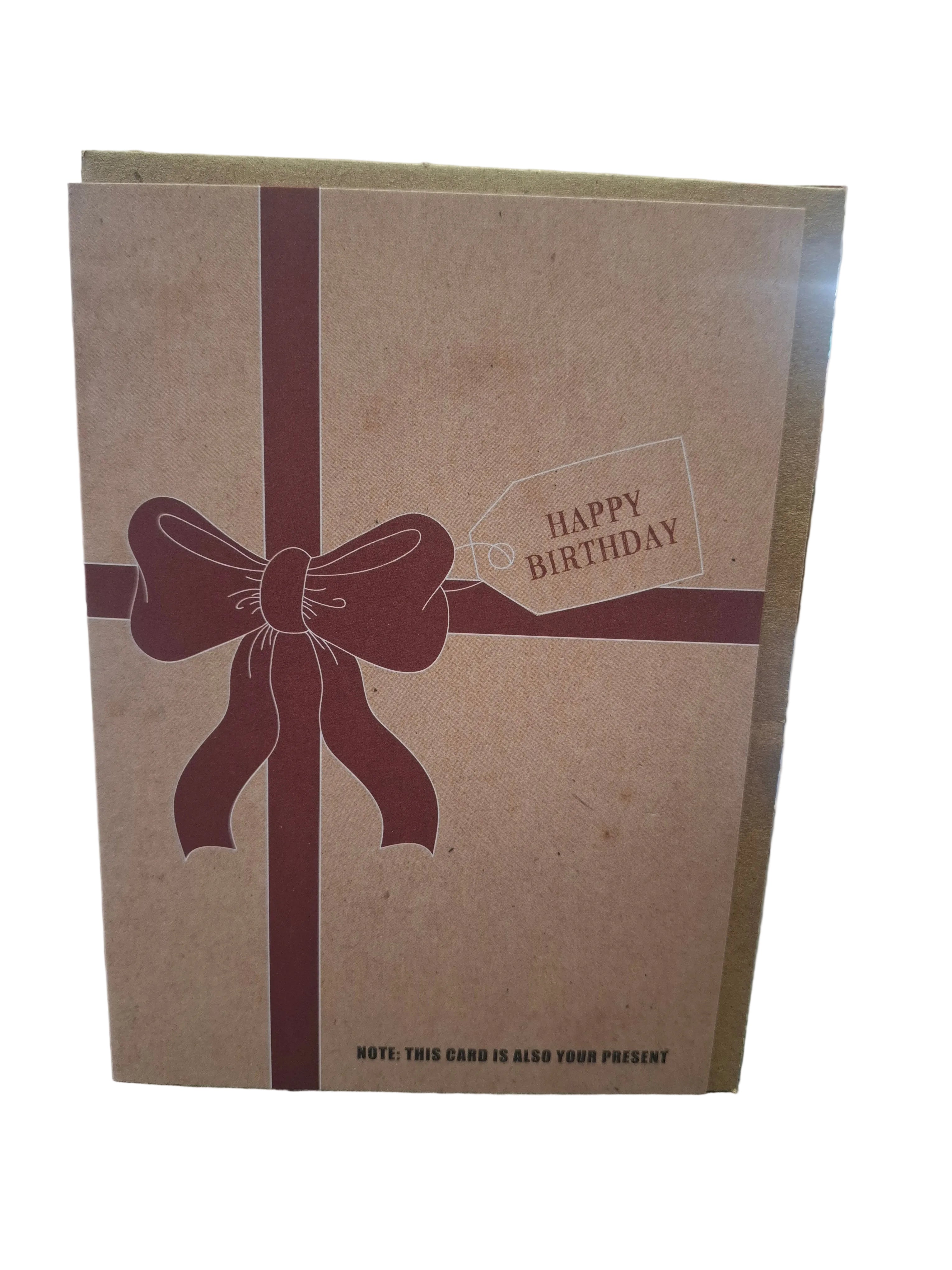 X83 - Happy birthday. Note: this card is also your present - rude birthday card