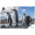1000 PIECE PUZZLE MASTER - PENGUINS