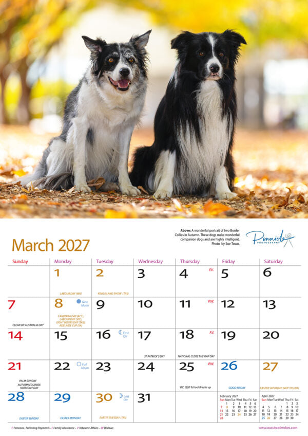 DOGS OF AUST CALENDAR: 2027