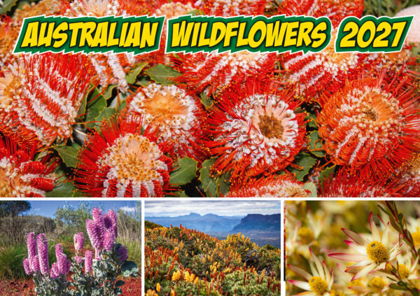 WILDFLOWERS A4 CALENDAR: 2027