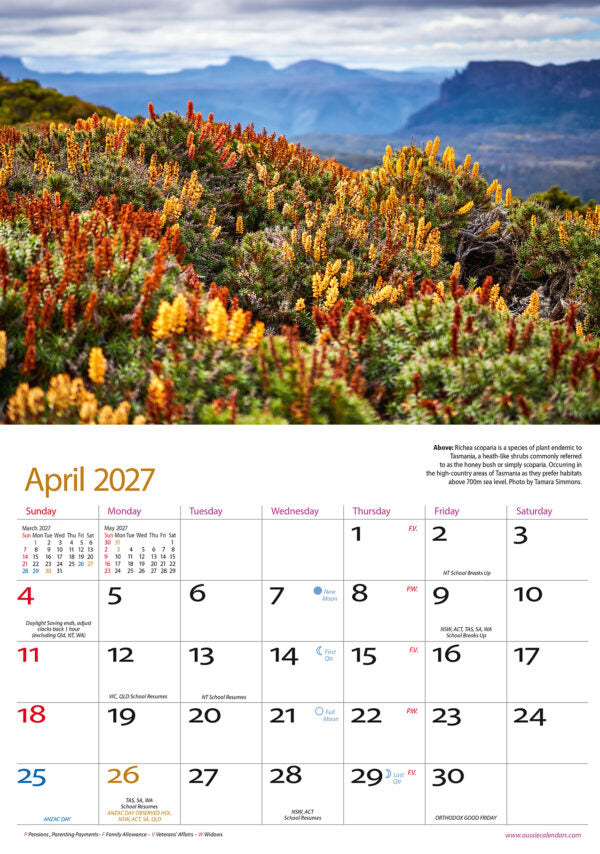 WILDFLOWERS A4 CALENDAR: 2027