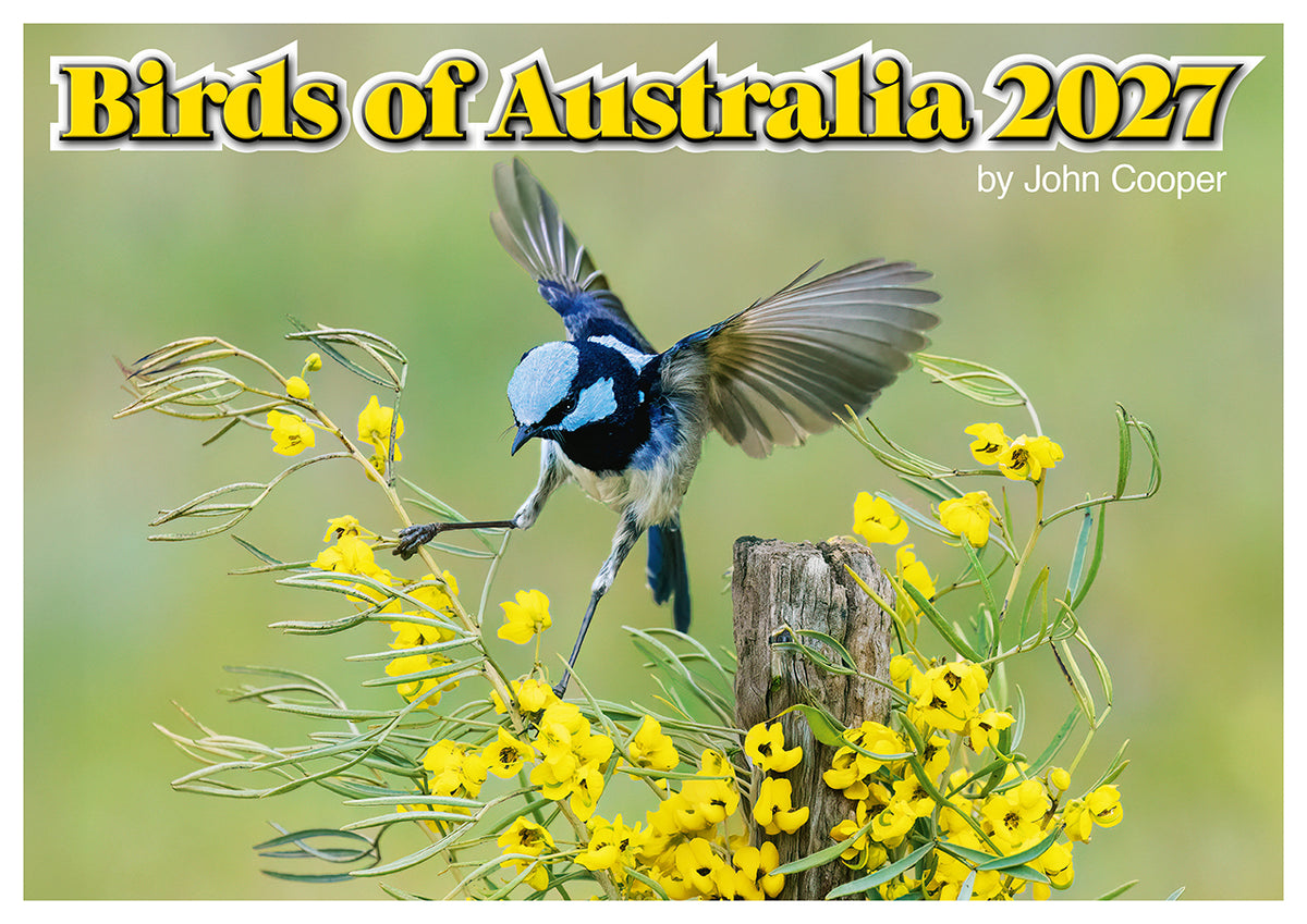 BIRDS OF AUSTRALIA CALENDAR: 2027