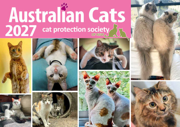 AUST CATS CALENDAR CALENDAR: 2027
