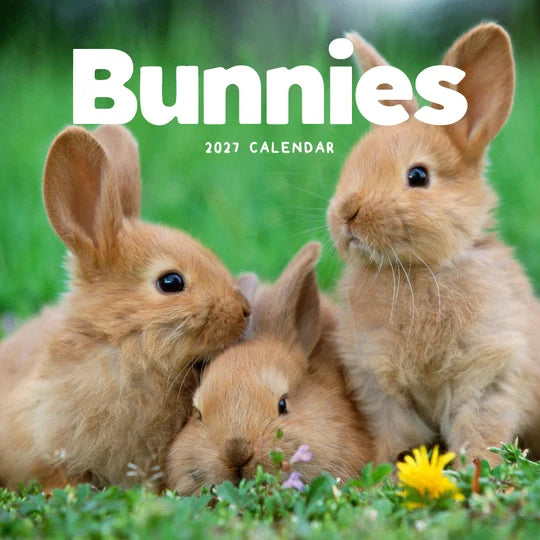 BUNNIES CALENDAR: 2027