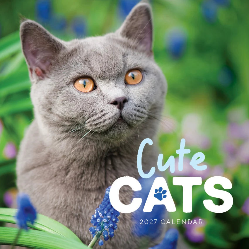 CUTE CATS CALENDAR: 2027