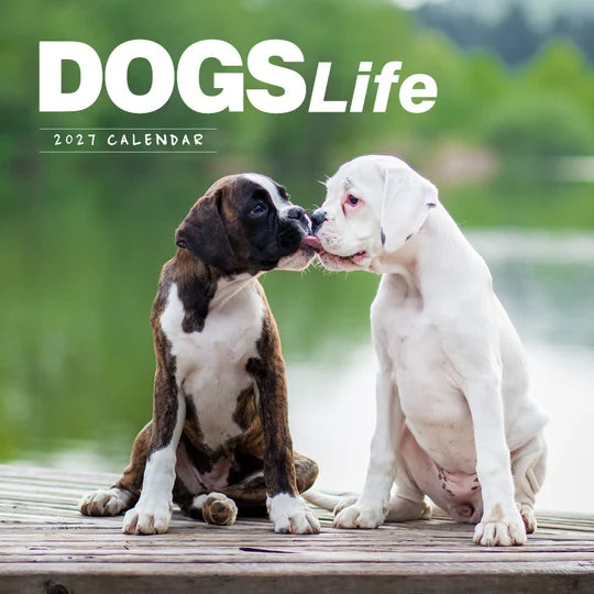 DOGS LIFE CALENDAR: 2027
