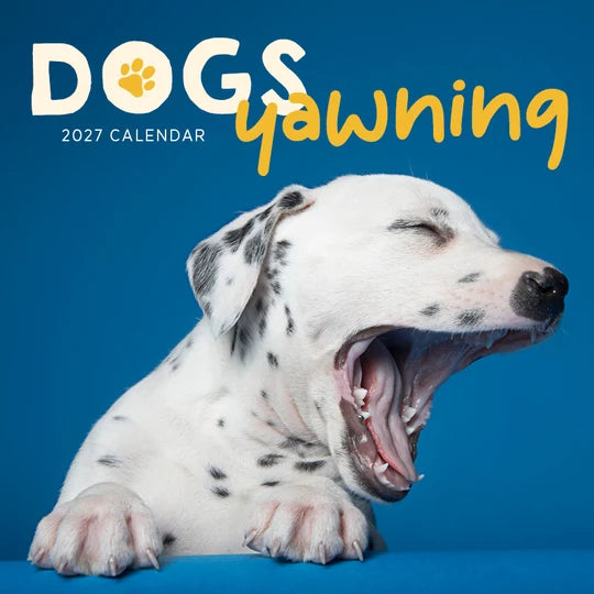 DOGS YAWNING CALENDAR: 2027