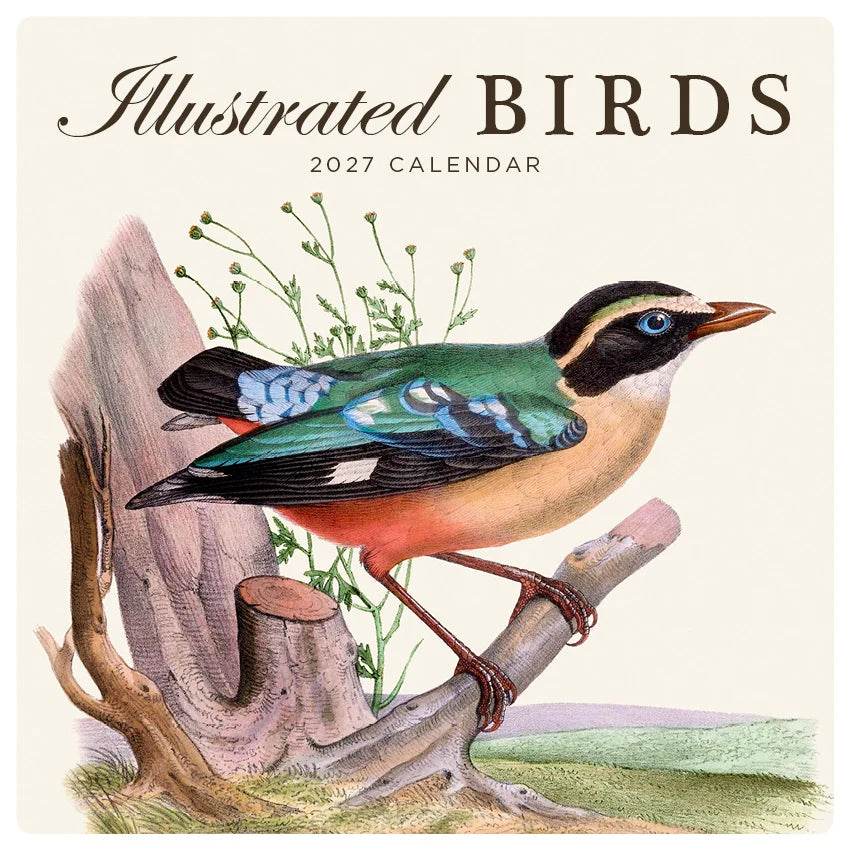 ILLUSTRATED BIRDS CALENDAR: 2027