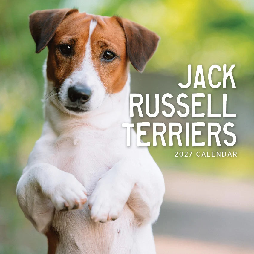 JACK RUSSELL CALENDAR: 2027