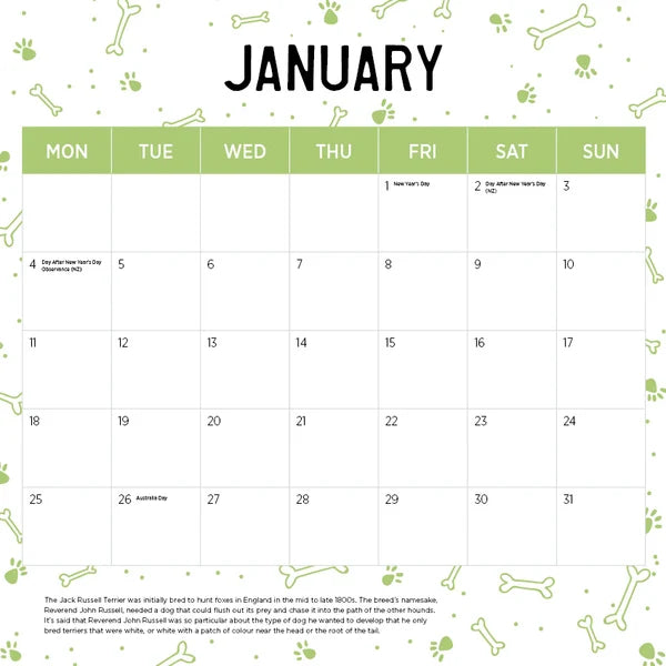 JACK RUSSELL CALENDAR: 2027